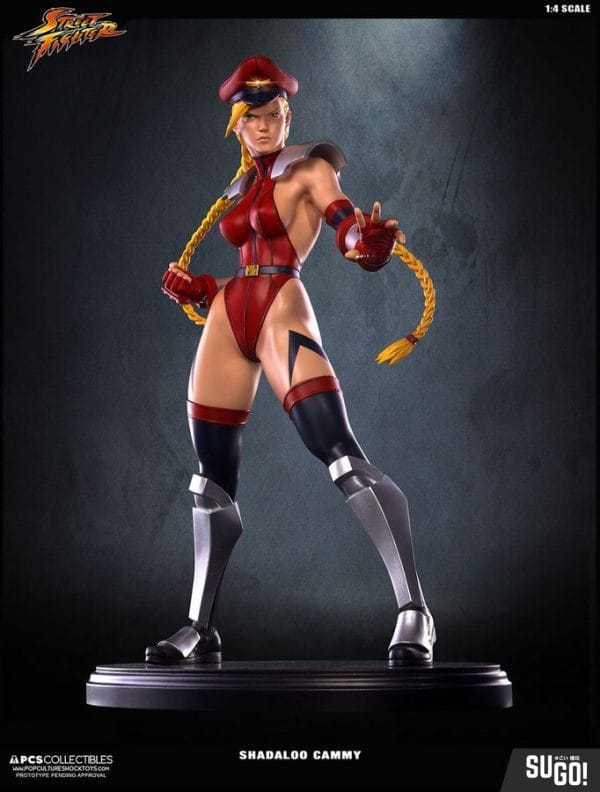 PCSSHADCAMMY001_0