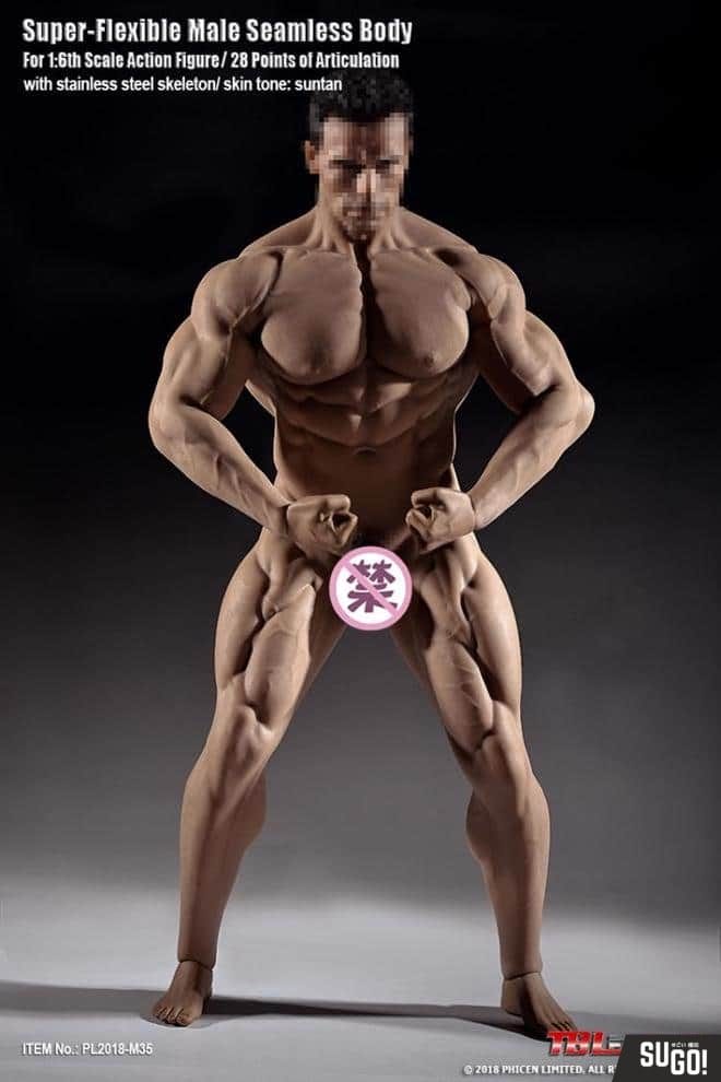 TBleague Phicen PL2018-M35 1/6 Male Muscular Seamless Body with Stainless  Steel Skeleton - Sugo Toys