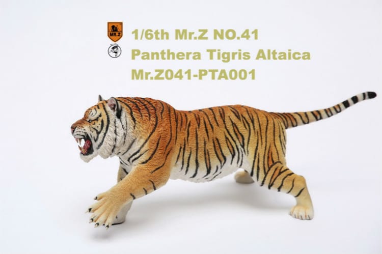 名入れ無料】 【Panthera tigris 出品】 アガベ - luxuryjoinery.com