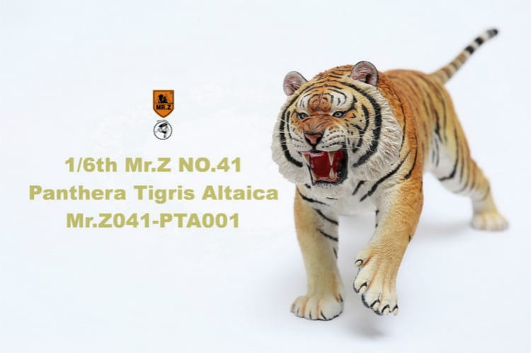 Mr.Z Panthera Tigris Altaica Siberian Tiger 1/6 Scale Resin Animal 