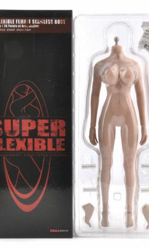 Phicen /TB League S12D Super Flexible Seamless Female 1:6 Scale Body Series  with Stainless Steel Skeleton - Toys Wonderland