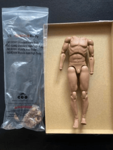 COOMODEL Narrow Shoulder Male Tall 1/6 Scale Action Figure Body BD002 photo review