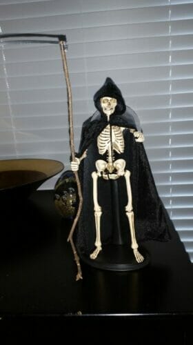 Coomodel The Human Skeleton (Diecast Alloy) 1/6 Scale Figure BS011 photo review