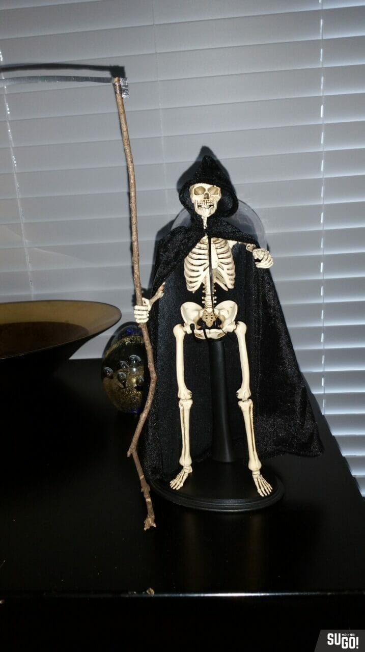 Coomodel The Human Skeleton (Diecast Alloy) 1/6 Scale Figure BS011 photo review