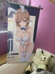 Astrum Design White bunny Onee-san 1/7 Scale PVC Figure EX With Bonus Artwork photo review