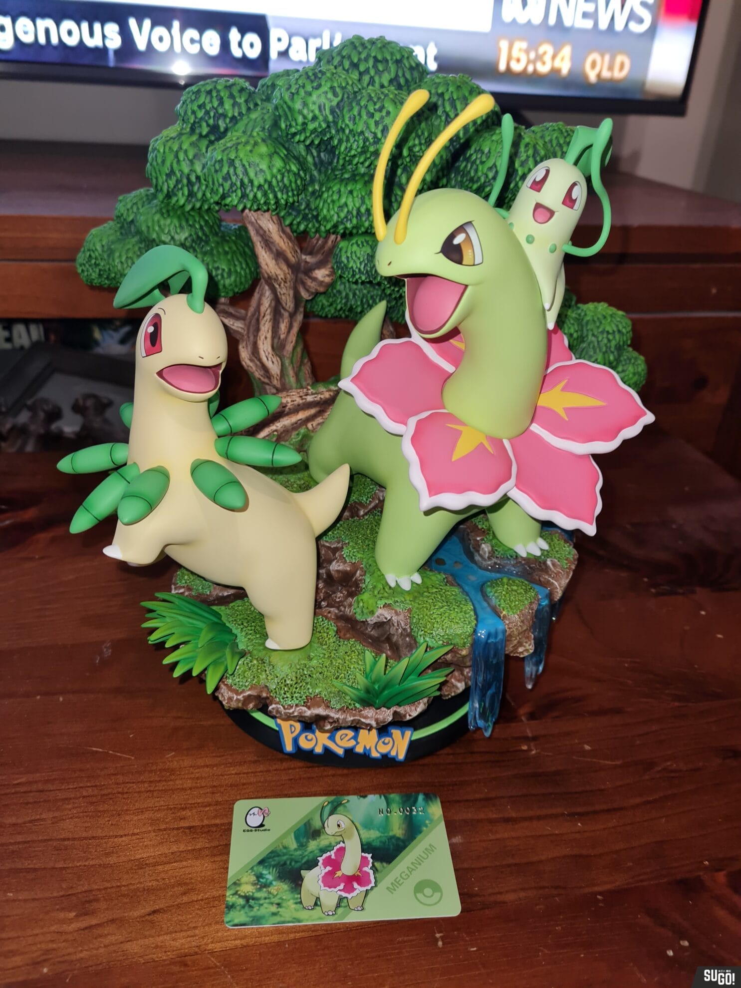 EGG Studio Meganium Evolution GK Statue photo review