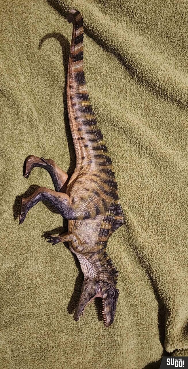 Nanmu Studio Jurassic Series Giganotosaurus Gustave 1/35 Scale Figure photo review