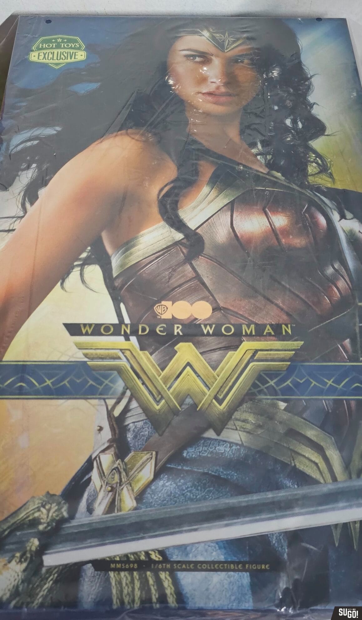 Hot Toys WB 100 Wonder Woman 1/6th Scale Action Figure (Exclusive Edition) MMS698 photo review