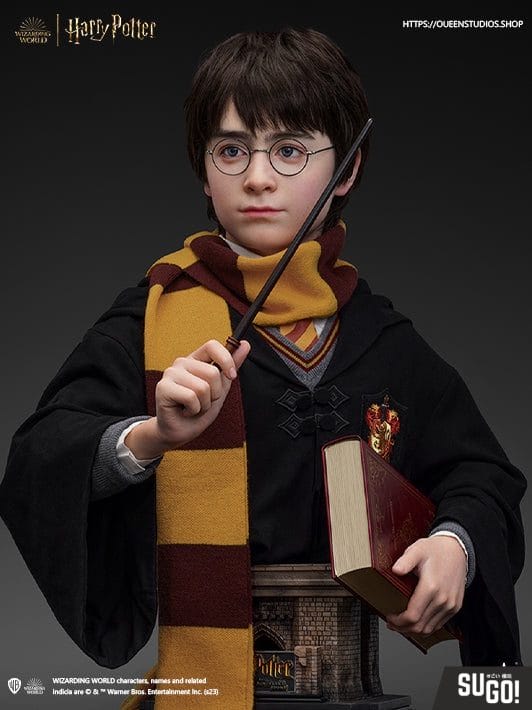 Costume Harry Potter Premium, Wizarding World Kids Maroc