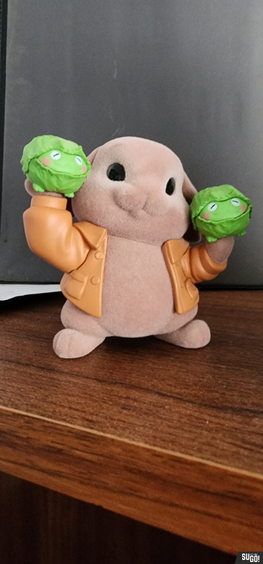 Peter Rabbit X Vegetables Fairy Blind Box (One Random Figure) photo review