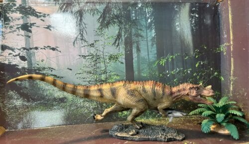 Nanmu Studio Jurassic Series Ceratosaurus (Scavenge) 1/35 Scale Dinosaur Statue 171193 (Red Head) photo review