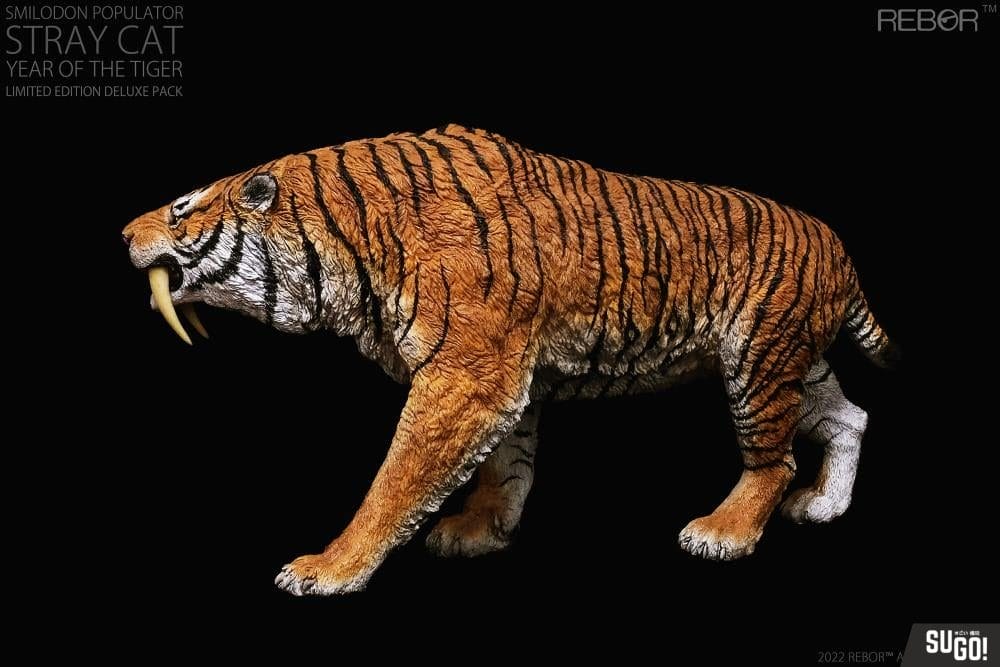 Rebor Smilodon Populator 'Stray Cat' Deluxe (Year of The Tiger) Museum ...