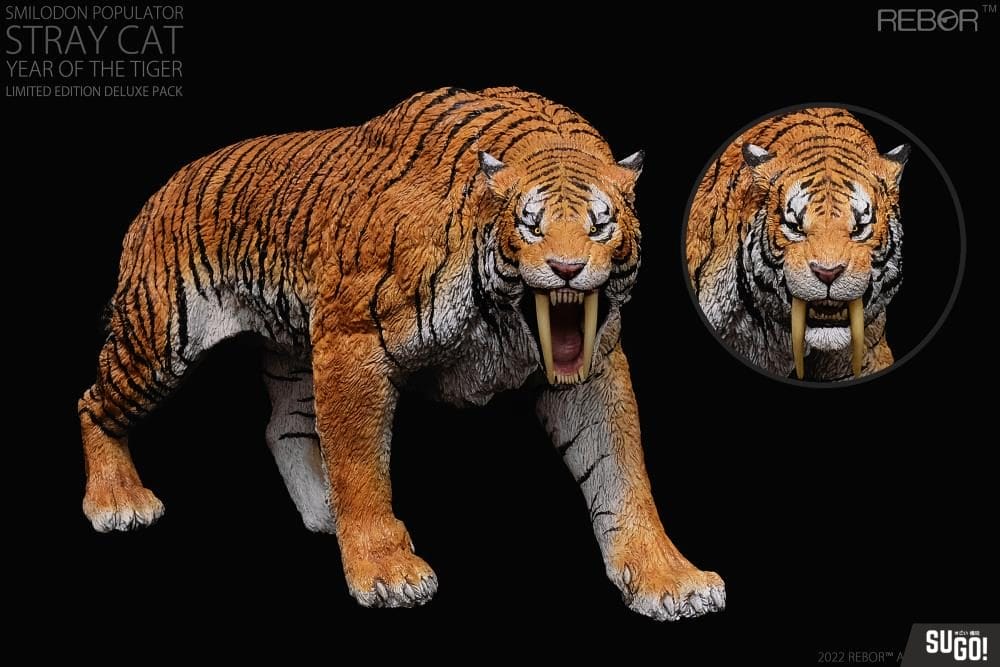 Rebor Smilodon Populator 'Stray Cat' Deluxe (Year of The Tiger) Museum ...