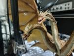 Hiya Toys Godzilla: King of the Monsters King Ghidorah 56cm Figure EBG0072 photo review