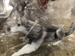 Neca The Thing Ultimate Dog Creature Set photo review