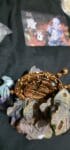 XS Studios X Yang Studios One Piece Shanks GK Statue photo review