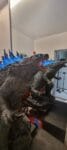 Prime 1 Studio Godzilla vs. Kong Gigantic Masterline Godzilla (Heat Ray) Statue GMGVK-02 photo review