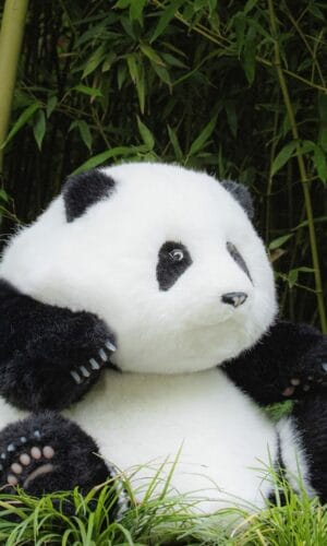 Chongker Panda Hehua (5 Months Old) Sitting 2.1 kg Weighted Plush