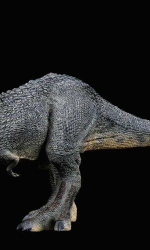 REBOR　1/35スケール　ユーティラヌス　Y-REX　フィギュア REBOR 1/35 Tyrannosaurus Rex Model T.rex Dinosaur Figure