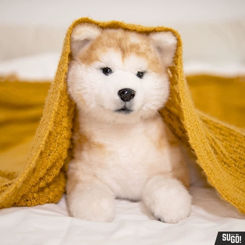 Akita plush toy deals