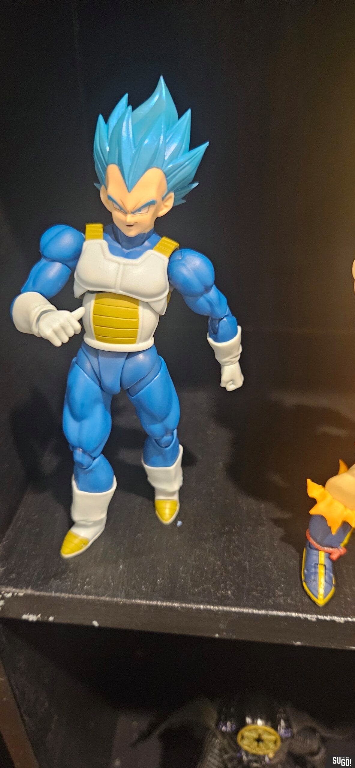 Bandai S.H.Figuarts Dragon Ball Super Saiyan God Super Saiyan VEGETA- The Pride of Saiyans Action Figure photo review