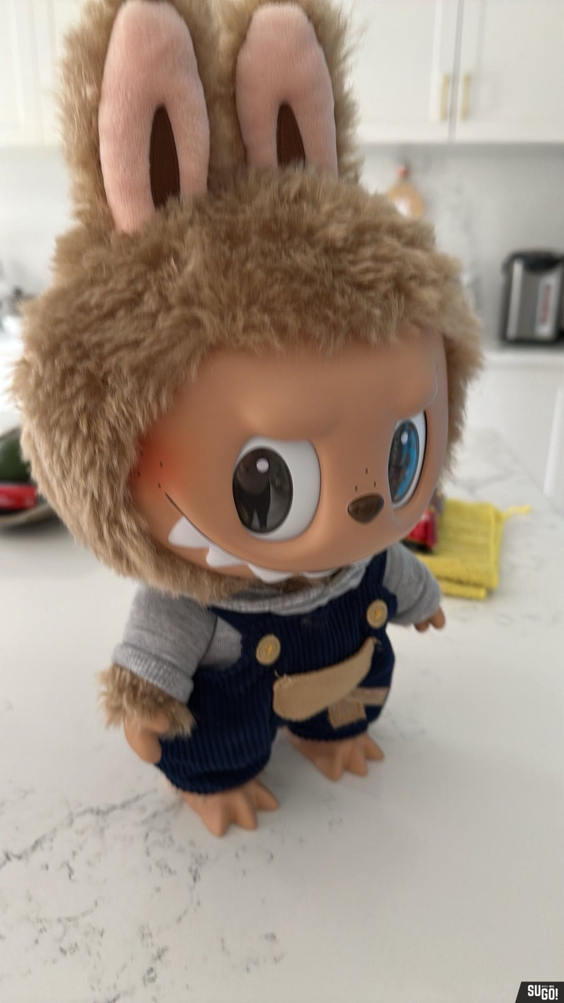 Click to view full screen POP Mart x The Monsters POP Mart The Monsters Labubu Time to Chill Vinyl Plush Doll photo review