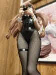 FuRyu Bicute Bunnies The Rising of The Shield Hero Season 3 Raphtalia PVC Figure photo review