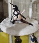Taito Overlord Desktop Cute Figure Albedo (Bunny Ver.) PVC Figure photo review