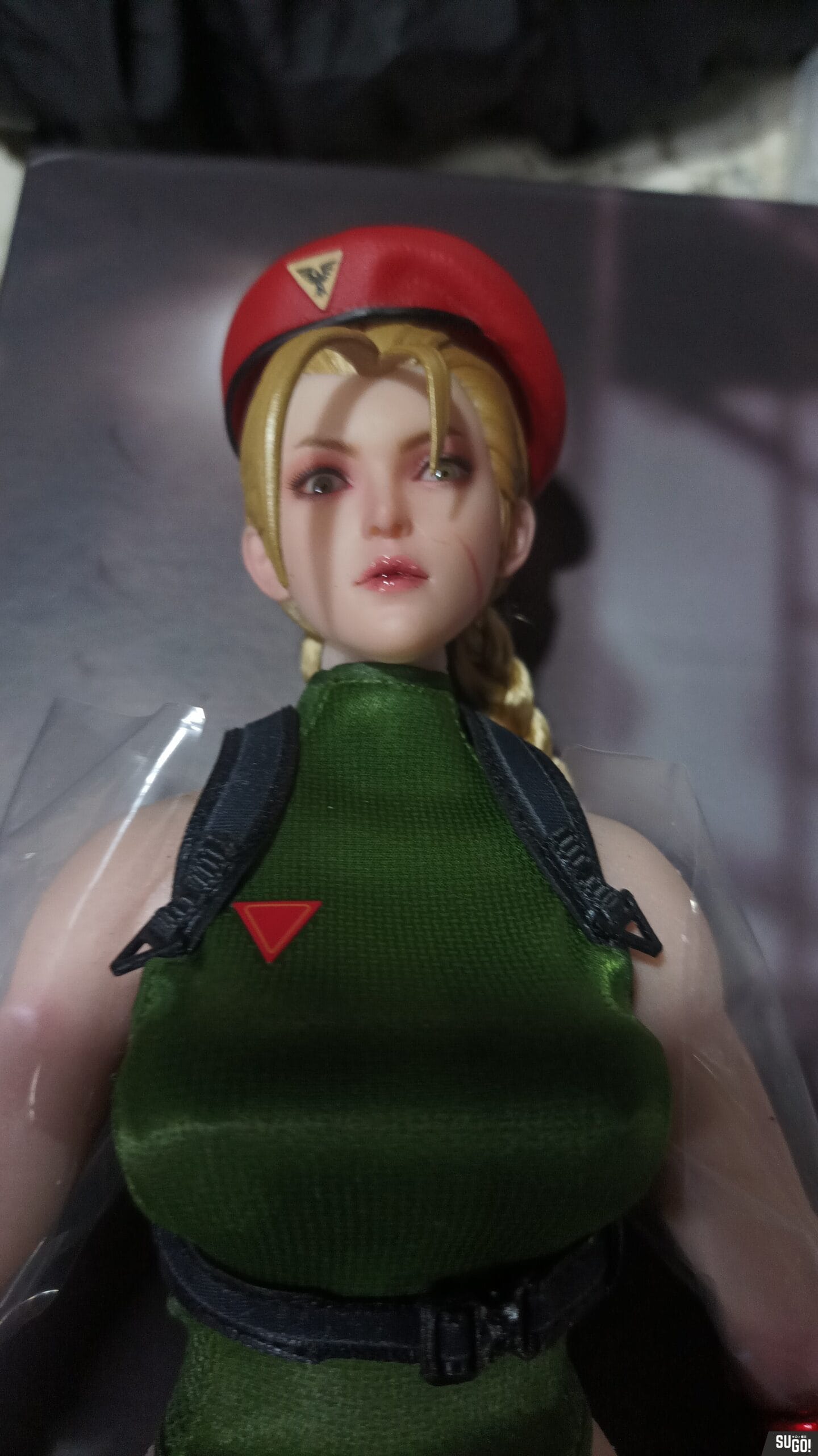 PLAY TOY 1/6 フィーメイル ファイター グリーン版 P020-A Play Toy 1/6 P020-A Green Fighting Female Warrior - GunDamit